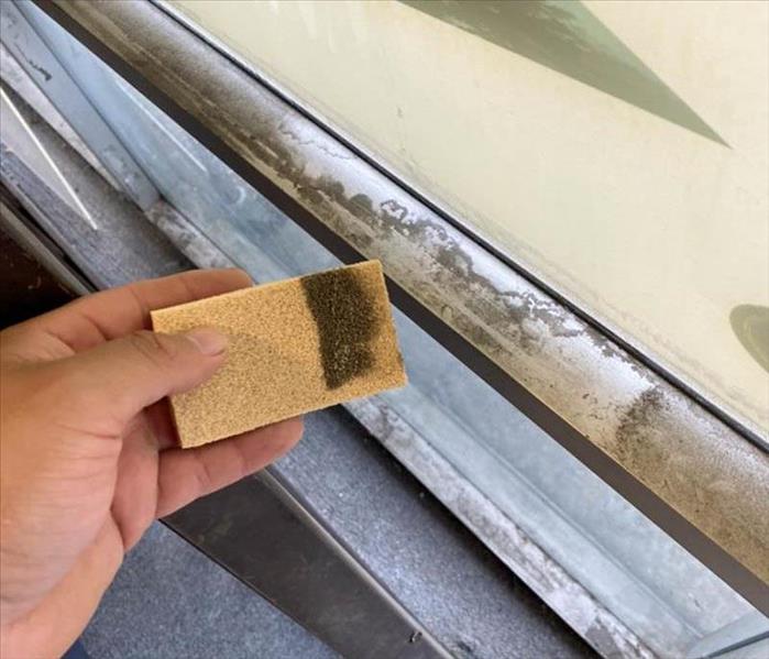 Mold being cleaned off of a window sill. 