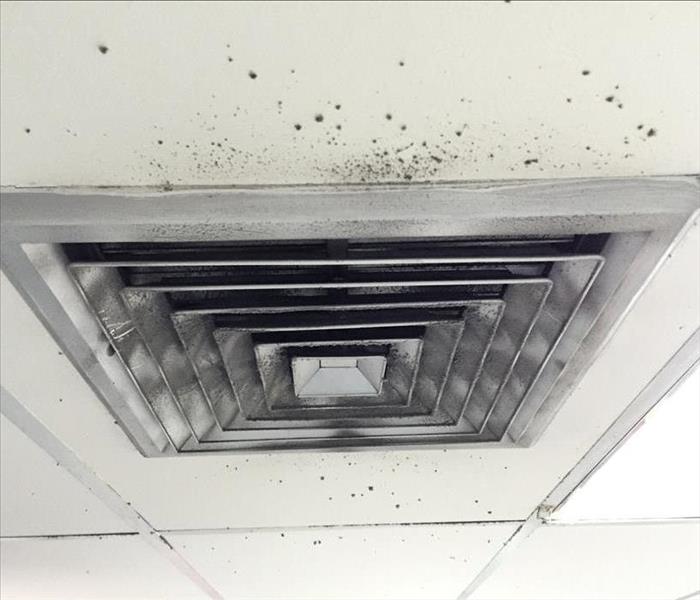 Spot of mold and dust around air duct