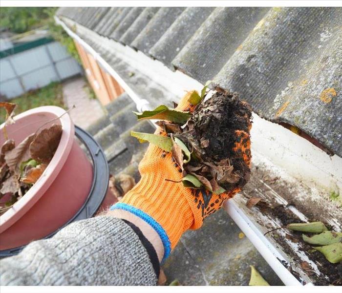 Hand with a glove cleaning a gutter with dirty leaves.