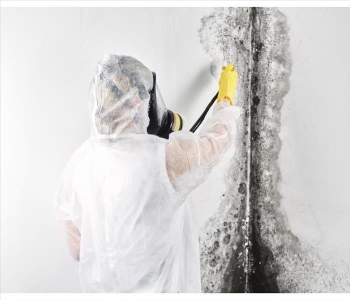 Person wearing protective gear while performing mold remediation